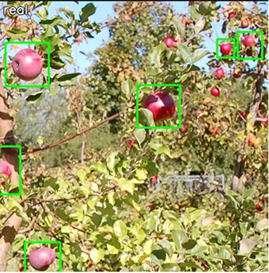 Real-trained model detections